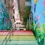 乐鱼app-咳克平胶囊的适用人群