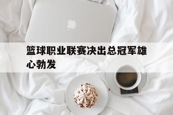 篮球冠军百度百科