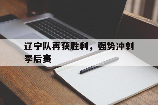 辽宁队季后赛结果